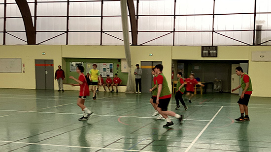 Trisports Saint Louis handball