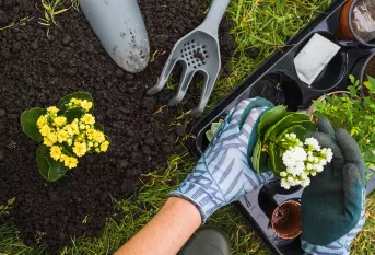 Jardinage avec des plantes