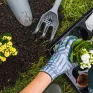 Jardinage avec des plantes